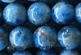 CAP585 15.5 inches 10mm round apatite beads wholesale