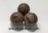CDN1115 30mm round zebra jasper decorations wholesale