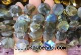 CIBS53 15 inches 15mm faceted coin labradorite beads wholesale