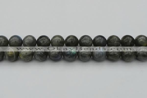 CLB953 15.5 inches 18mm round labradorite gemstone beads