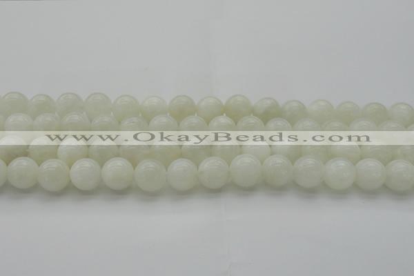CMS1033 15.5 inches 10mm round A grade white moonstone beads