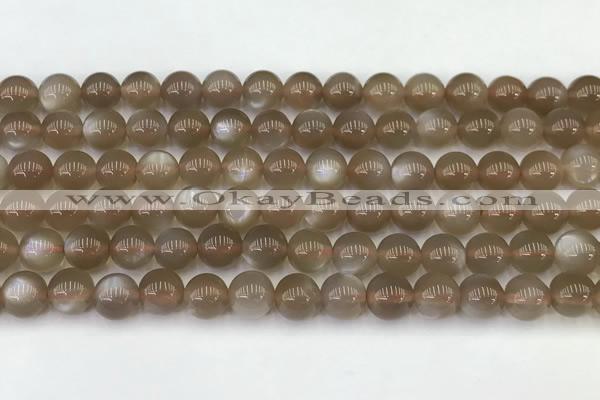 CMS1958 15.5 inches 7mm round natural moonstone gemstone beads