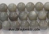 CMS306 15.5 inches 11mm round natural grey moonstone beads wholesale