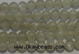 CMS651 15.5 inches 6mm round grey moonstone beads wholesale