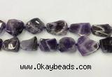 CNG6946 15.5 inches 22*25mm - 25*30mm freeform amethyst beads