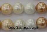 CSB624 15.5 inches 14mm whorl round mixed color shell pearl beads