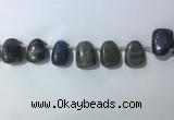 CTD2151 Top drilled 15*25mm - 18*25mm freeform labradorite beads