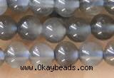 CTG1582 15.5 inches 4mm round grey moonstone beads wholesale