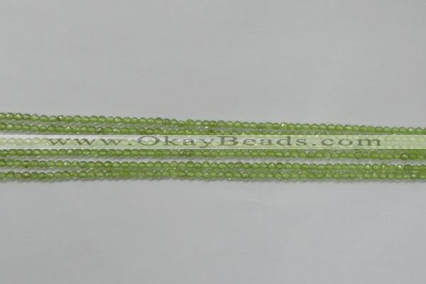 CTG206 15.5 inches 3mm faceted round tiny prehnite gemstone beads