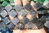 FGBS275 15 inches 18mm four leaf clover labradorite beads wholesale