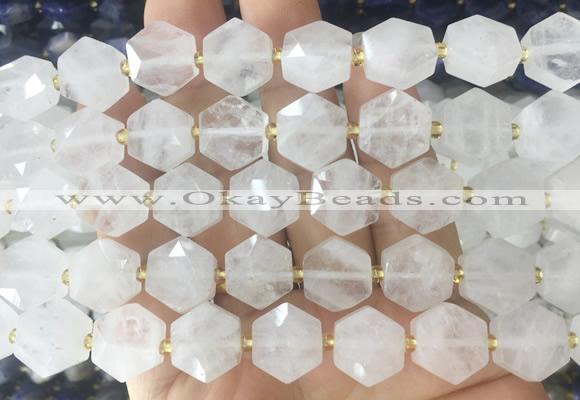 HABS16 15 inches 12mm faceted hexagon Angola crystal quartz beads wholesale