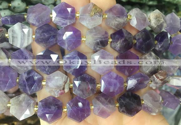 HABS18 15 inches 12mm faceted hexagon amethyst beads wholesale