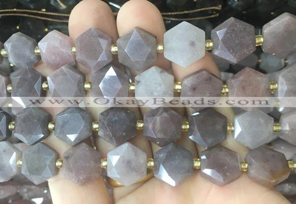 HABS23 15 inches 12mm faceted hexagon purple aventurine beads wholesale