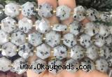 HABS26 15 inches 12mm faceted hexagon sesame Jasper beads wholesale