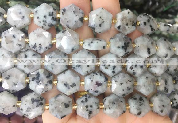 HABS26 15 inches 12mm faceted hexagon sesame Jasper beads wholesale