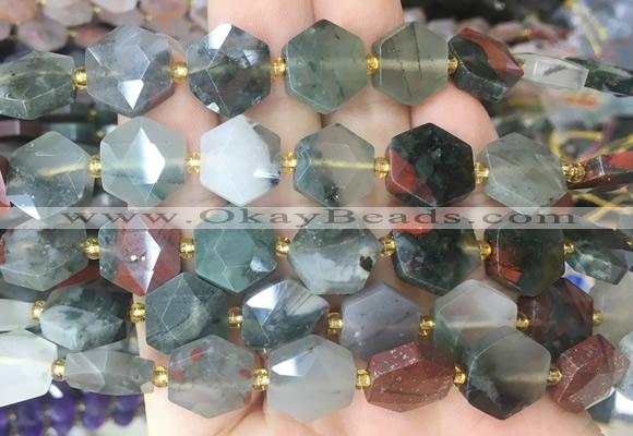 HABS28 15 inches 12mm faceted hexagon bloodstone beads wholesale