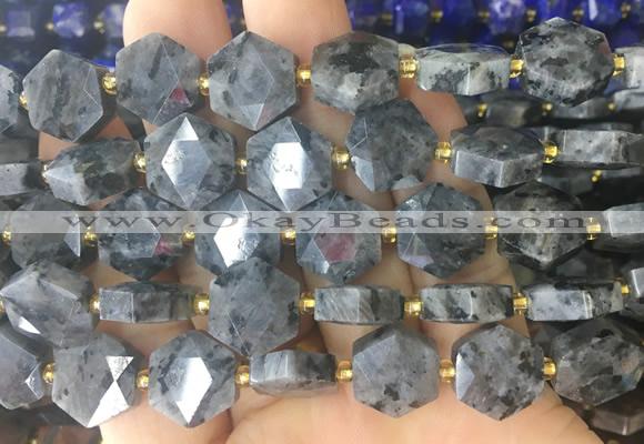 HABS29 15 inches 12mm faceted hexagon black labradorite beads wholesale