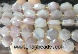 HABS30 15 inches 12mm faceted hexagon moonstone beads wholesale