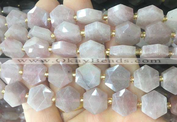 HABS30 15 inches 12mm faceted hexagon moonstone beads wholesale