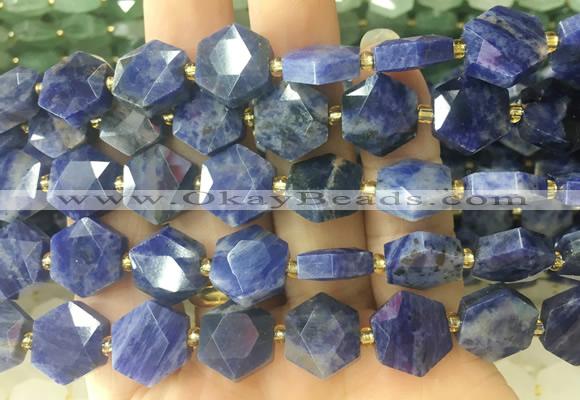 HABS31 15 inches 12mm faceted hexagon sodalite beads wholesale