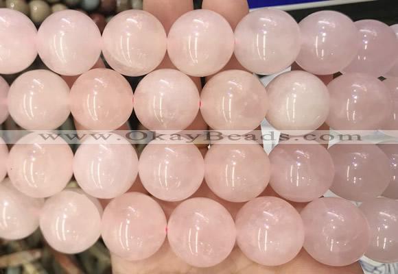 LSBS03 15 inches 20mm round rose quartz beads wholesale