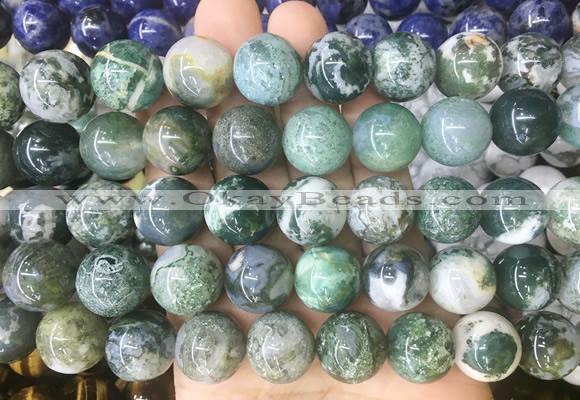 LSBS197 15 inches 16mm round tree agate gemstone beads wholesale