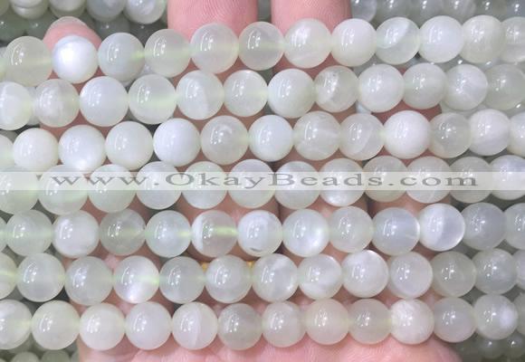 MSBS32 15 inches 8mm round green moonstone gemstone beads wholesale