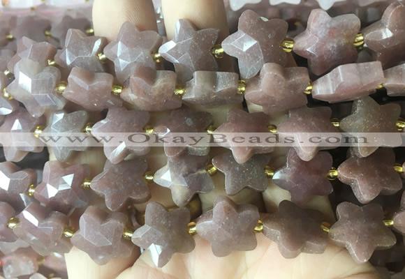 RGBS59 15 inches 14mm faceted star jasper gemstone beads wholesale