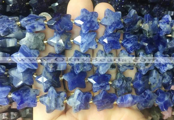 RGBS63 15 inches 14mm faceted star sodalite beads wholesale