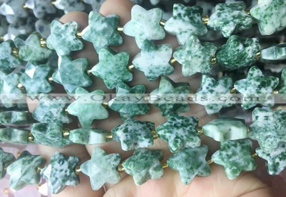 RGBS65 15 inches 14mm faceted star Qinghai jade beads wholesale