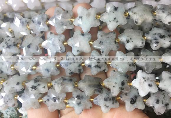 RGBS66 15 inches 14mm faceted star sesame Jasper beads wholesale