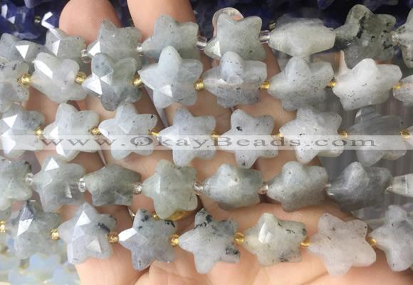 RGBS67 15 inches 14mm faceted star labradorite beads wholesale
