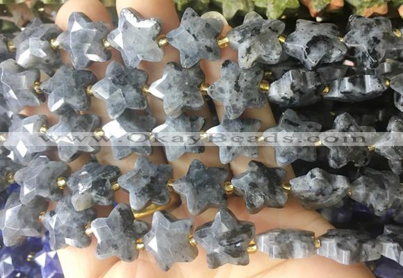 RGBS68 15 inches 14mm faceted star black labradorite beads wholesale