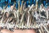 TDBS03 Top drilled 6*20mm - 8*55mm sticks sea urchin shell beads wholesale